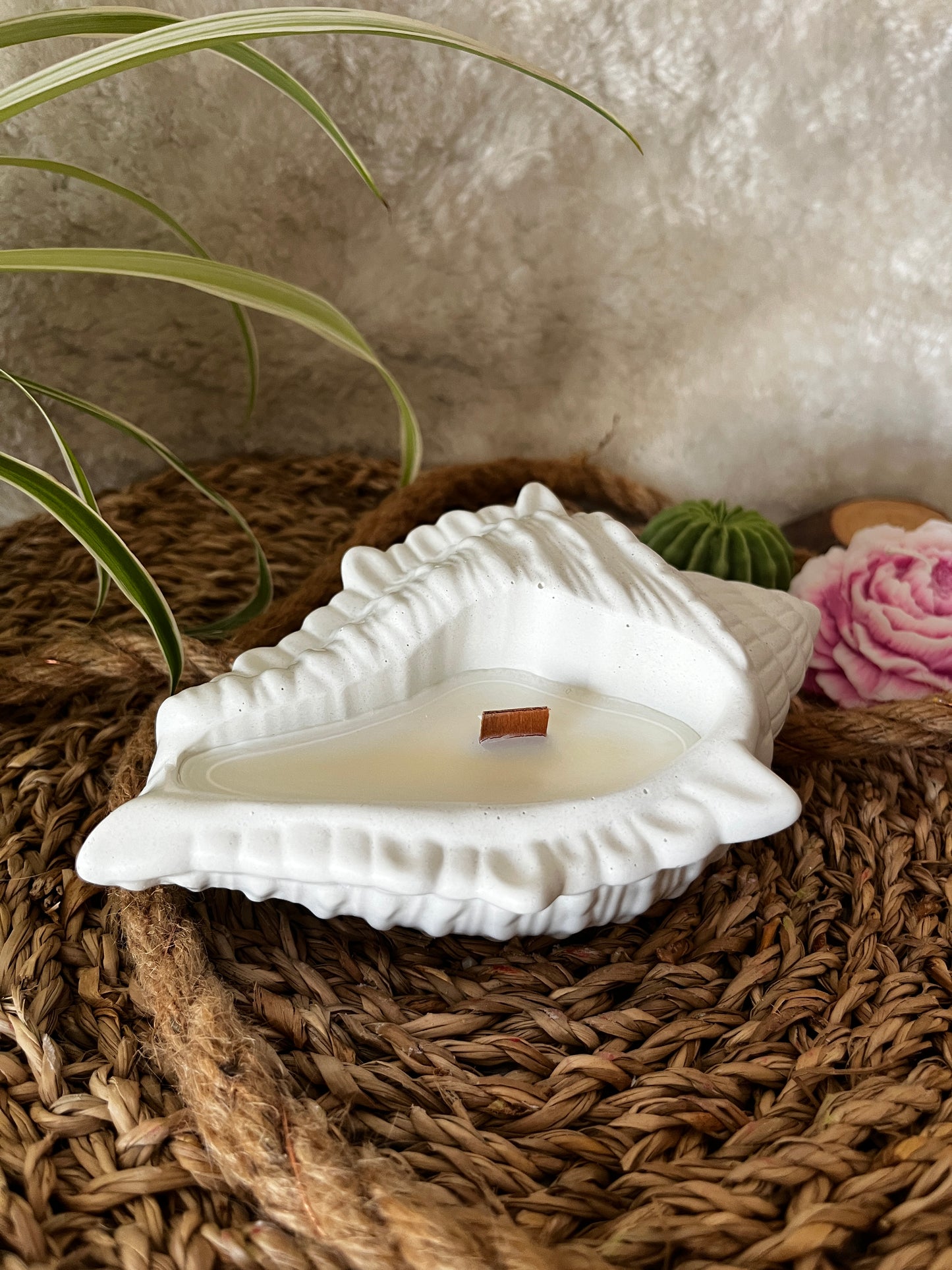 Muschelkerze mit Holzdocht