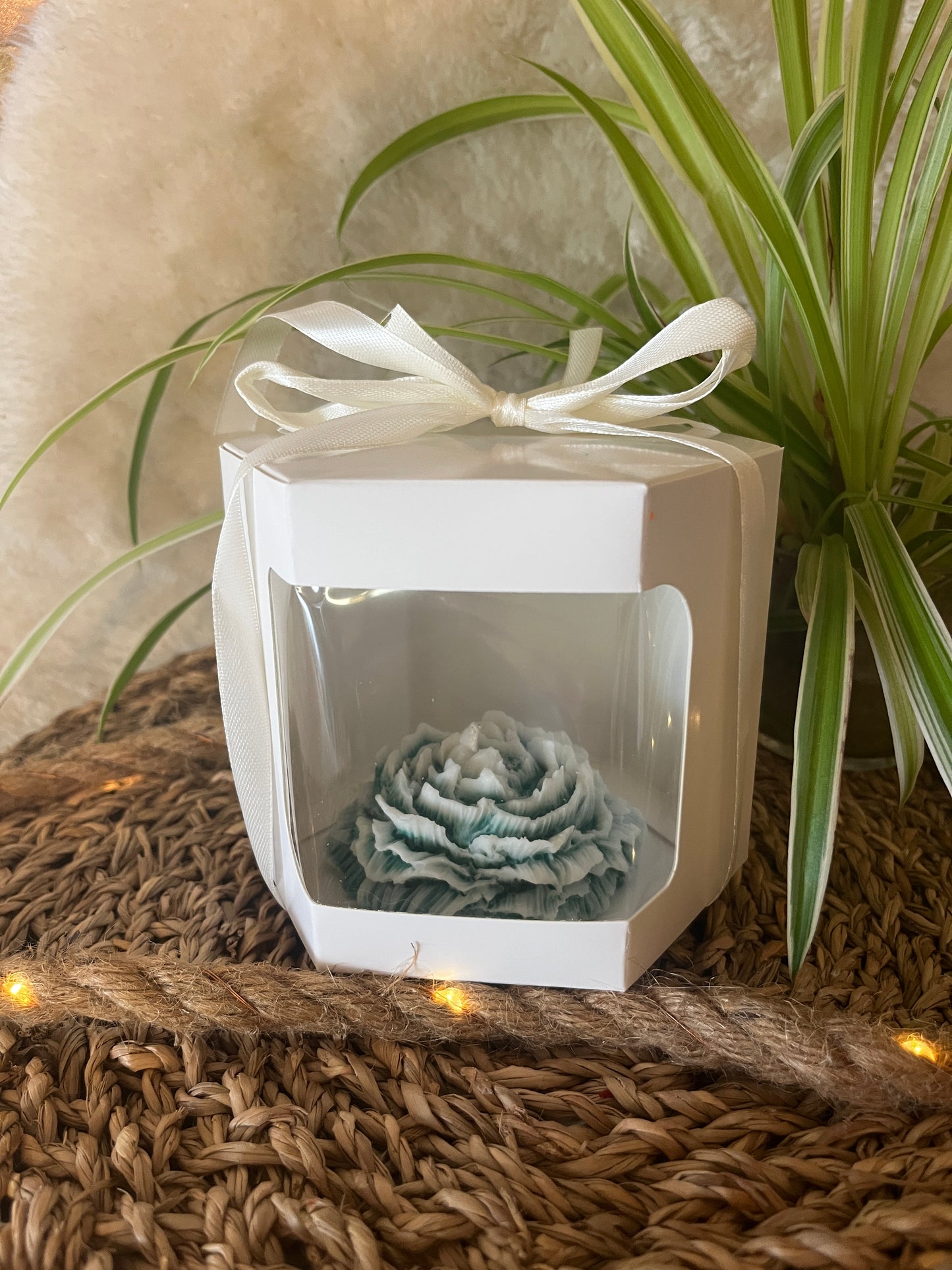 Pfingstrose in Geschenkbox