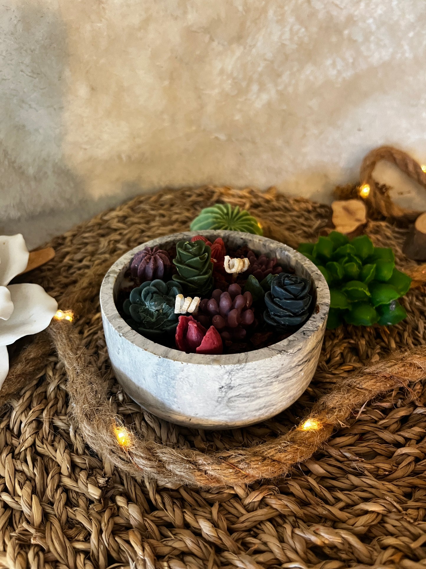 Mini Kaktuskerzen