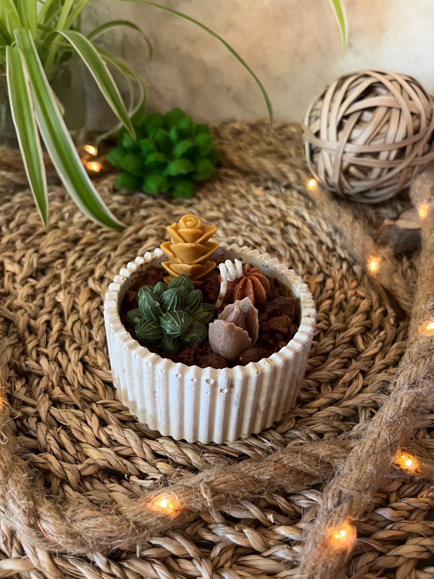 Mini geriffelte Kaktusschale