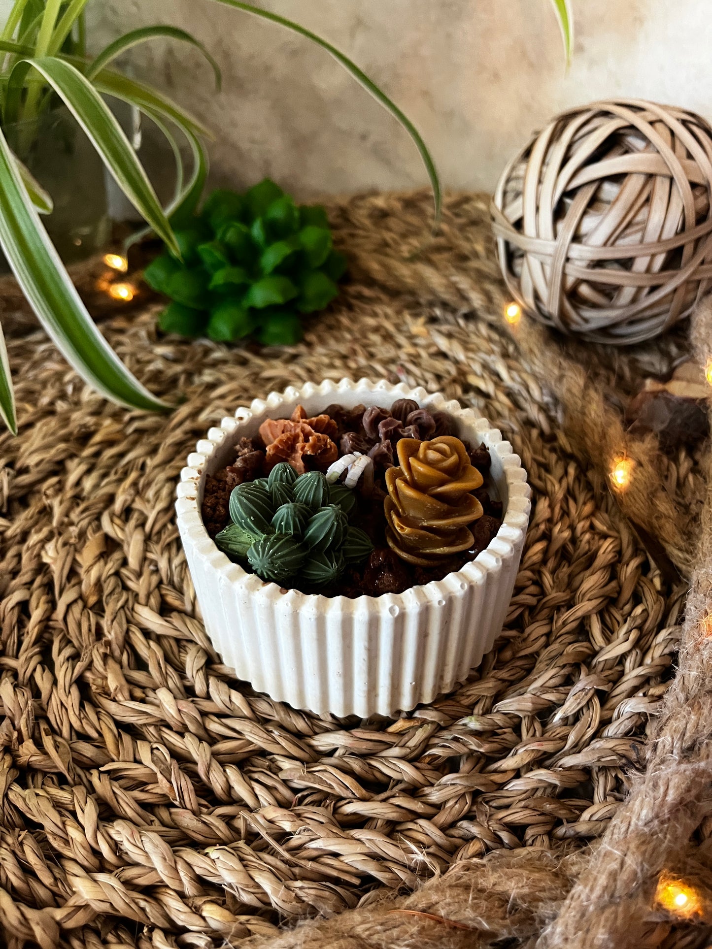 Mini geriffelte Kaktusschale