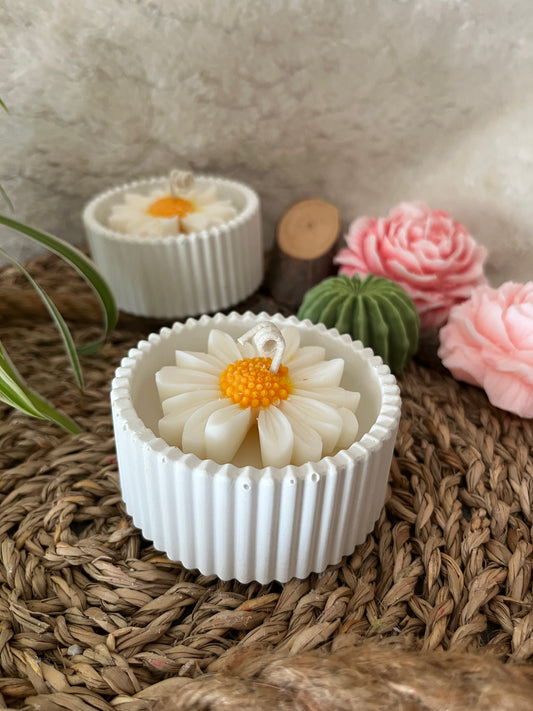 Blumenkerze in Betonschale
