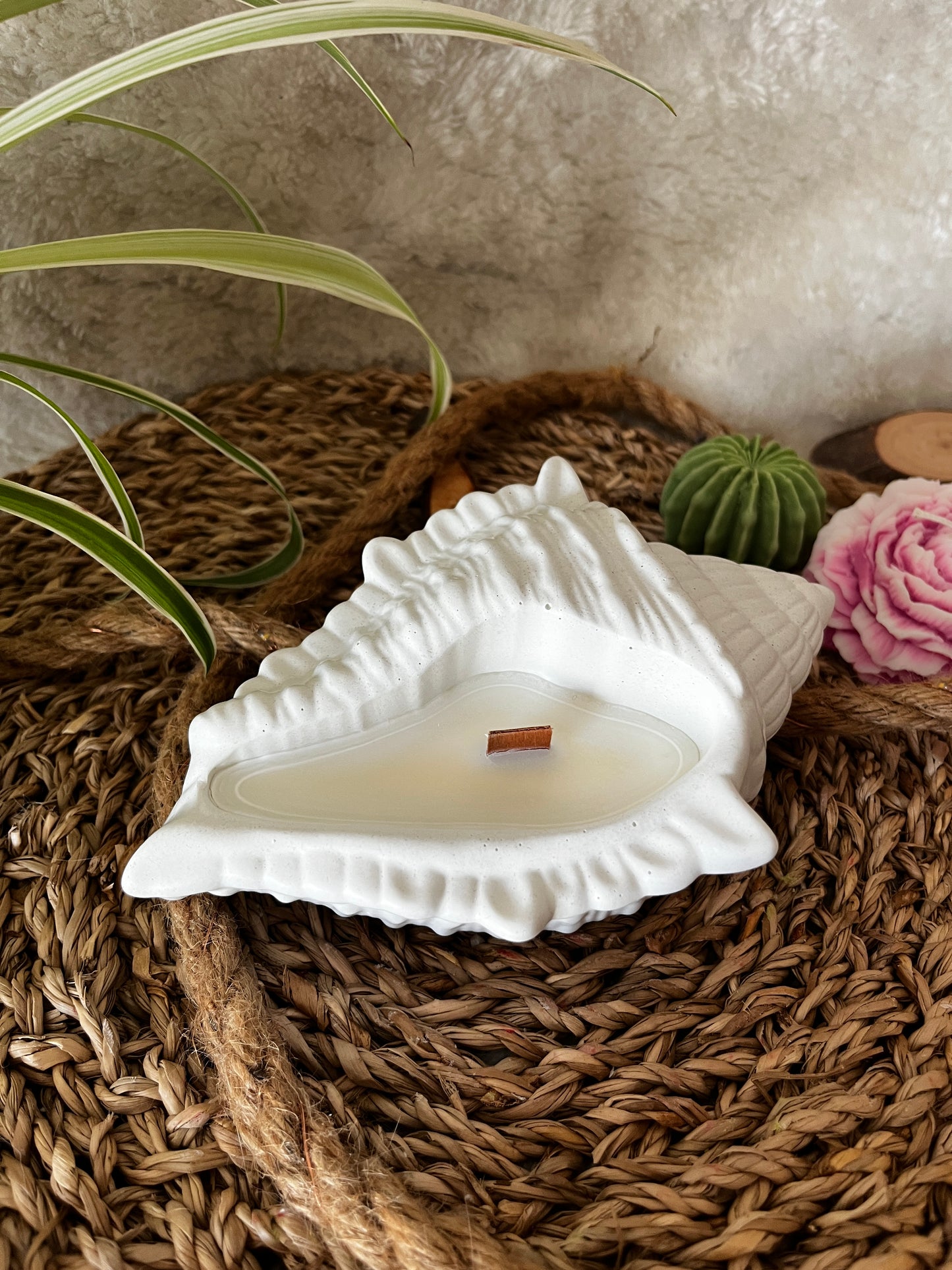 Muschelkerze mit Holzdocht