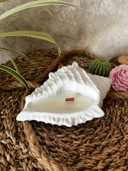 Muschelkerze mit Holzdocht