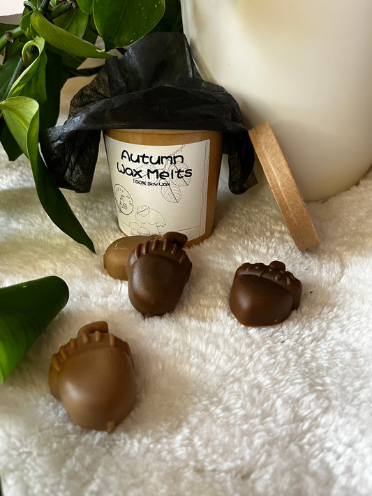 Autumn Wax Melts (Apfel-Zimt Duft)