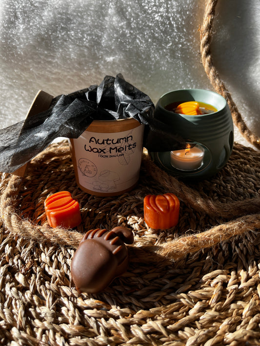 Autumn Wax Melts (Apfel-Zimt)