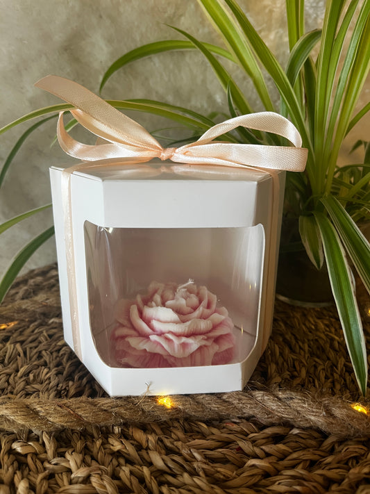 Pfingstrose in Geschenkbox