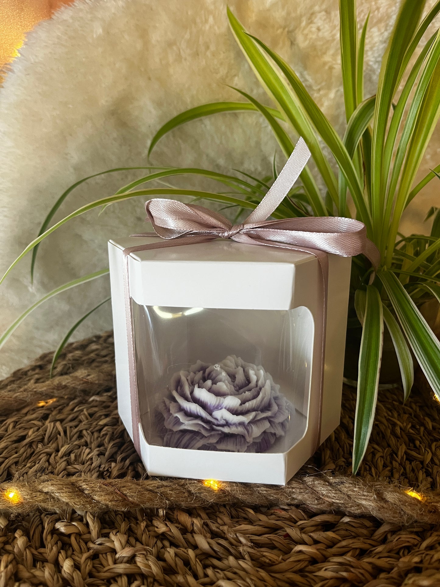 Pfingstrose in Geschenkbox