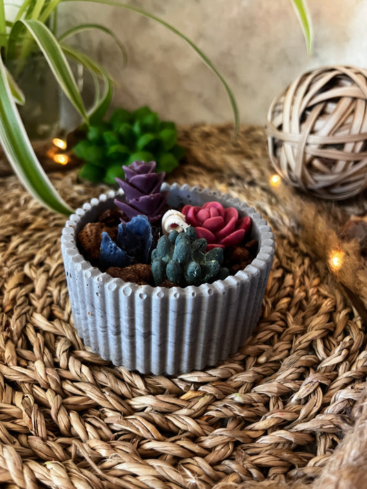Mini geriffelte Kaktusschale